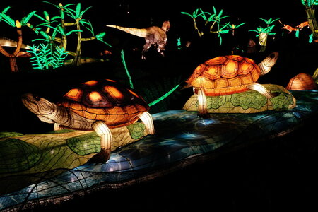 20250111 - Illuminations 2024 - Jurassique en voie d'illumination, 094