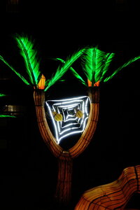 20250111 - Illuminations 2024 - Jurassique en voie d'illumination, 096