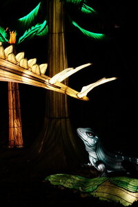 20250111 - Illuminations 2024 - Jurassique en voie d'illumination, 097