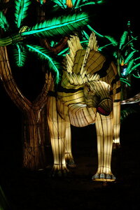 20250111 - Illuminations 2024 - Jurassique en voie d'illumination, 098