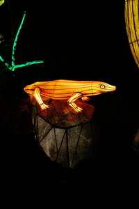 20250111 - Illuminations 2024 - Jurassique en voie d'illumination, 099