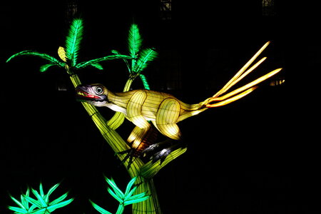 20250111 - Illuminations 2024 - Jurassique en voie d'illumination, 100