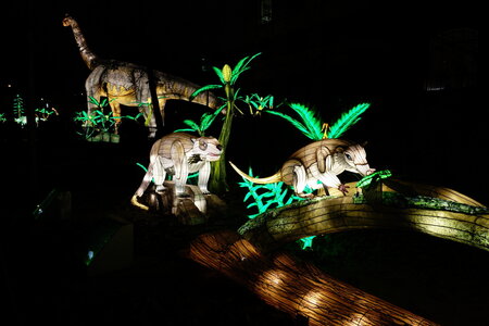 20250111 - Illuminations 2024 - Jurassique en voie d'illumination, 101