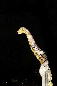 20250111 - Illuminations 2024 - Jurassique en voie d'illumination, 102