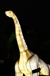 20250111 - Illuminations 2024 - Jurassique en voie d'illumination, 104