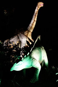 20250111 - Illuminations 2024 - Jurassique en voie d'illumination, 105