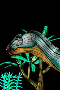 20250111 - Illuminations 2024 - Jurassique en voie d'illumination, 106