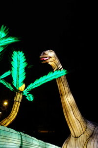 20250111 - Illuminations 2024 - Jurassique en voie d'illumination, 107