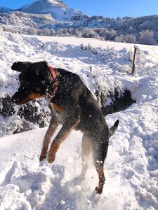 Barbeyroux, 20260129 Barbeyroux   2 