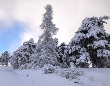 Barbeyroux, 20260129 Barbeyroux   4 