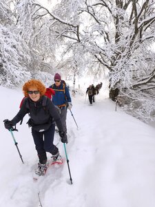 Barbeyroux, 20260129 Barbeyroux   6 