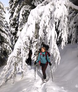 Barbeyroux, 20260129 Barbeyroux   20 