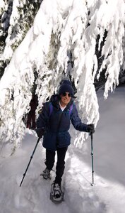 Barbeyroux, 20260129 Barbeyroux   29 