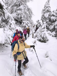 Barbeyroux, 20260129 Barbeyroux   45 