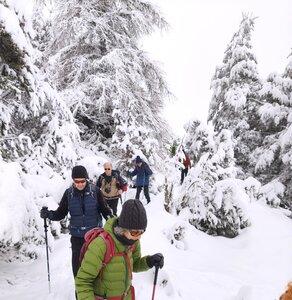 Barbeyroux, 20260129 Barbeyroux   49 