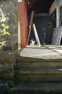 20250227 - Dinan, 007