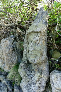 20250301 - Rochers sculptés de Rothéneuf, 04