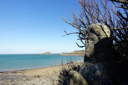 20250301 - Rochers sculptés de Rothéneuf, 05