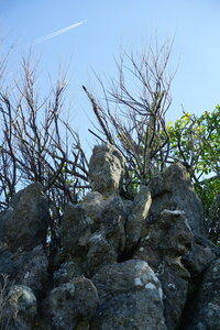 20250301 - Rochers sculptés de Rothéneuf, 06