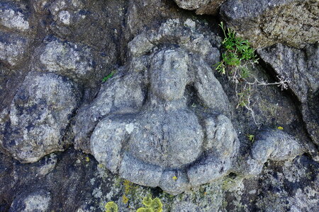 20250301 - Rochers sculptés de Rothéneuf, 11