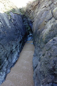 20250301 - Rochers sculptés de Rothéneuf, 13