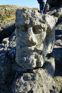 20250301 - Rochers sculptés de Rothéneuf, 14