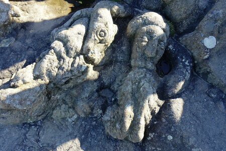 20250301 - Rochers sculptés de Rothéneuf, 17