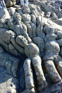 20250301 - Rochers sculptés de Rothéneuf, 18