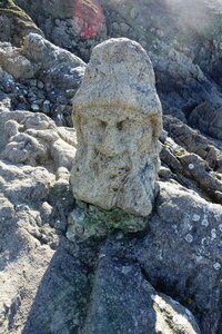 20250301 - Rochers sculptés de Rothéneuf, 22