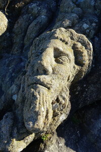 20250301 - Rochers sculptés de Rothéneuf, 25