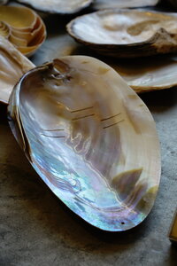 20250303 - Musée de la Nacre de Méru, 02