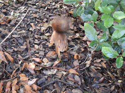 Janvier, 20260130_110047