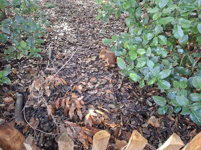 Janvier, 20260130_110042