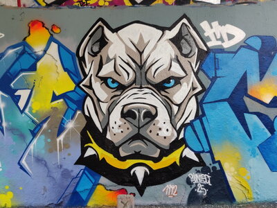 Street Art - 2025, 2025_01