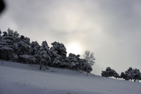 Randonnée féerique vers le Lac de Barbeyroux, IMG_1363