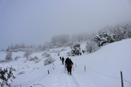 Randonnée féerique vers le Lac de Barbeyroux, IMG_1368