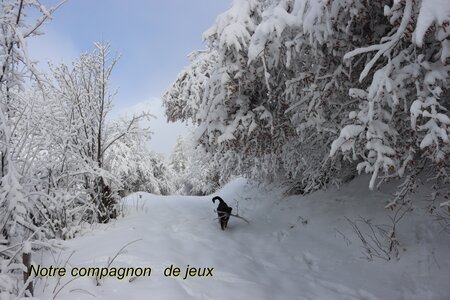Randonnée féerique vers le Lac de Barbeyroux, IMG_1369