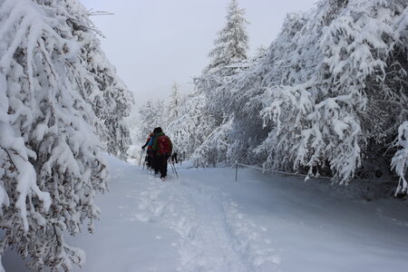 Randonnée féerique vers le Lac de Barbeyroux, IMG_1371