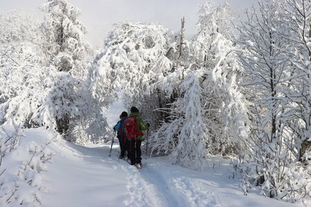 Randonnée féerique vers le Lac de Barbeyroux, IMG_1373
