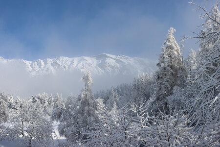 Randonnée féerique vers le Lac de Barbeyroux, IMG_1375