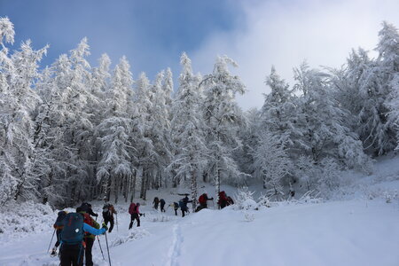 Randonnée féerique vers le Lac de Barbeyroux, IMG_1377