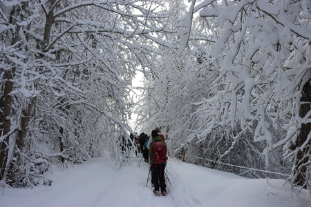 Randonnée féerique vers le Lac de Barbeyroux, IMG_1382