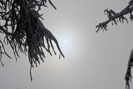 Randonnée féerique vers le Lac de Barbeyroux, IMG_1384