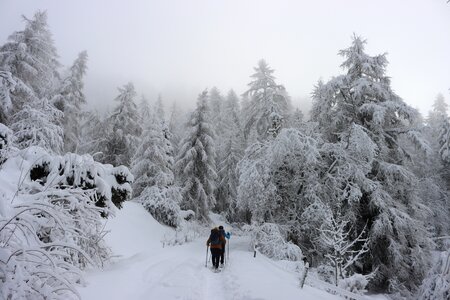 Randonnée féerique vers le Lac de Barbeyroux, IMG_1385