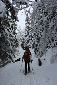 Randonnée féerique vers le Lac de Barbeyroux, IMG_1388