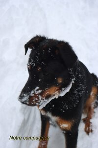 Randonnée féerique vers le Lac de Barbeyroux, IMG_1389