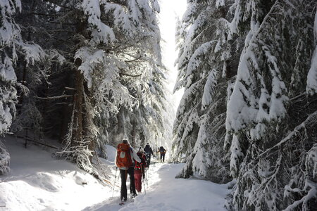 Randonnée féerique vers le Lac de Barbeyroux, IMG_1392