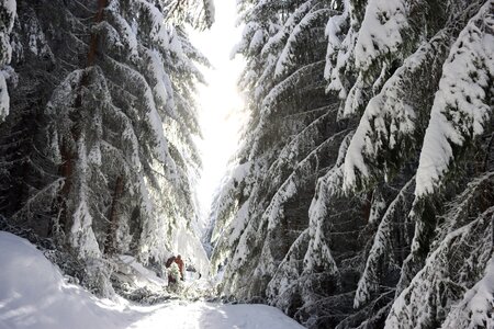 Randonnée féerique vers le Lac de Barbeyroux, IMG_1393