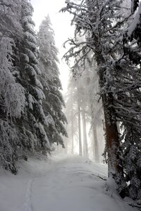 Randonnée féerique vers le Lac de Barbeyroux, IMG_1395