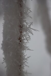 Randonnée féerique vers le Lac de Barbeyroux, IMG_1399
